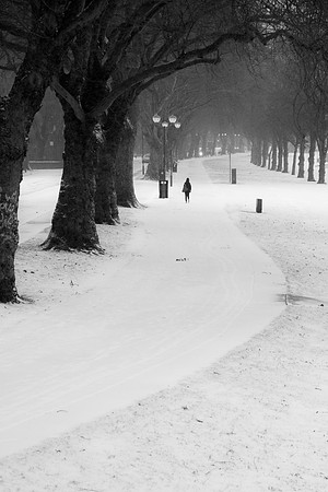 Winter HQ IMG_2486